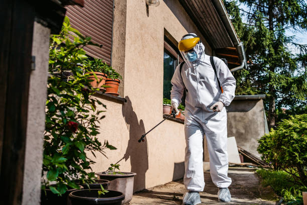 Wasp Removal Services in Vandalia, IL