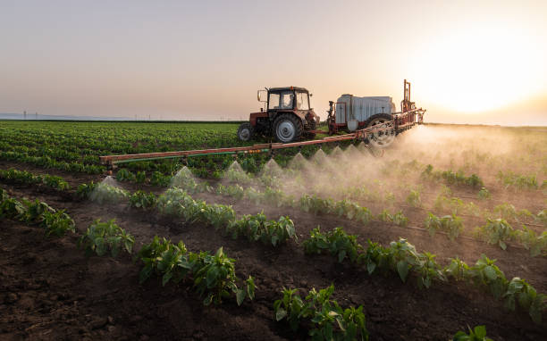 Best Commercial Pest Control Services  in Vandalia, IL
