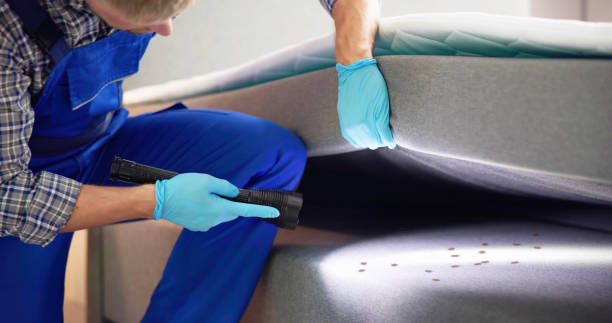 Reliable Vandalia, IL Pest Control Solutions
