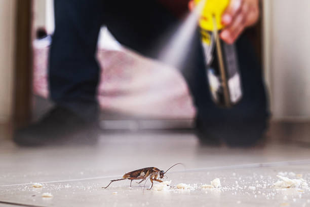 Best Affordable Pest Control Services  in Vandalia, IL