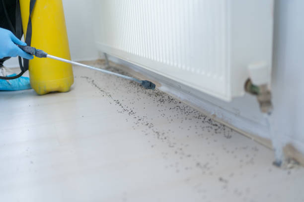 Best Local Pest Control Services  in Vandalia, IL