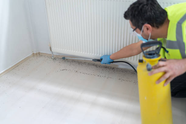 Best Emergency Pest Control  in Vandalia, IL