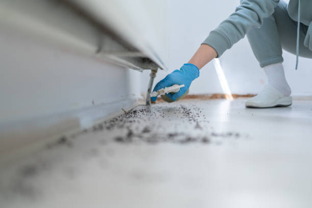 Best Residential Pest Control  in Vandalia, IL