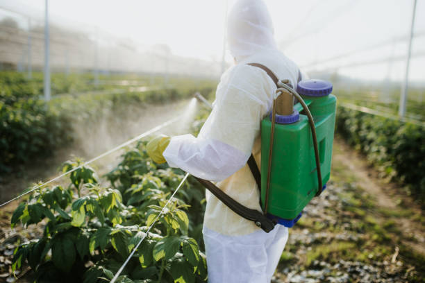 Best Pest Prevention Services  in Vandalia, IL